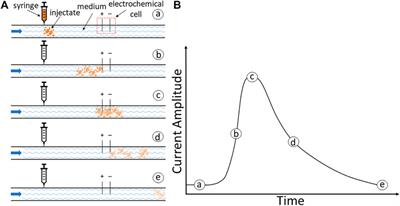 Electrochemical Approach to Measure Physiological Fluid Flow Rates
